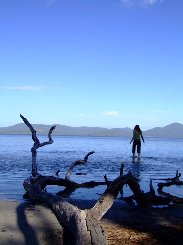 Travel - Australia - Dery Pictures Bush Party - The Lake near Forster